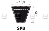 V-snaren SPB